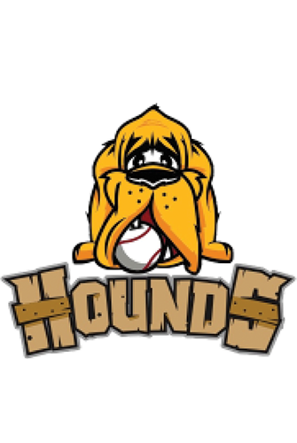 Hounds Baseball Academy
